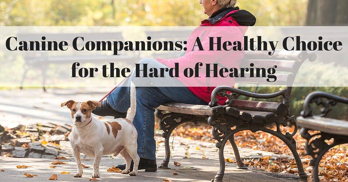 Canine companions: a healthy choice for the hard of hearing