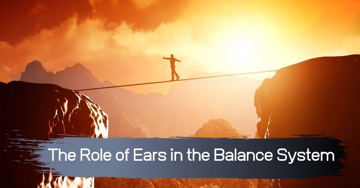 The Role of Ears in the Balance System (1)