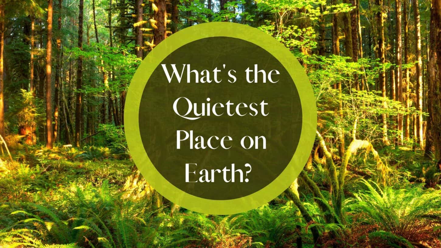 What's the Quietest Place on Earth