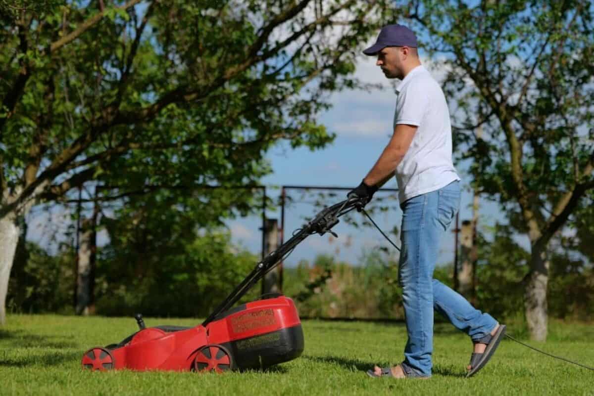Summer Noises - How to Prevent Hearing Damage from Lawn Mowers and Other Equipment
